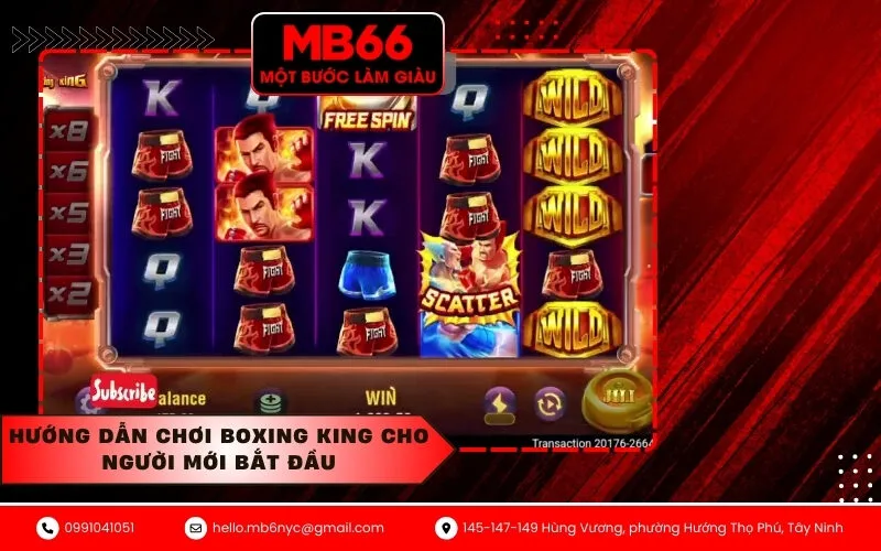 Hướng dẫn chơi Boxing King cho người mới bắt đầu